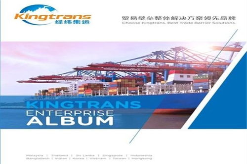 湛江企業(yè)在國(guó)內(nèi)貿(mào)易代理中規(guī)避平軋反傾銷風(fēng)險(xiǎn)的策略分析